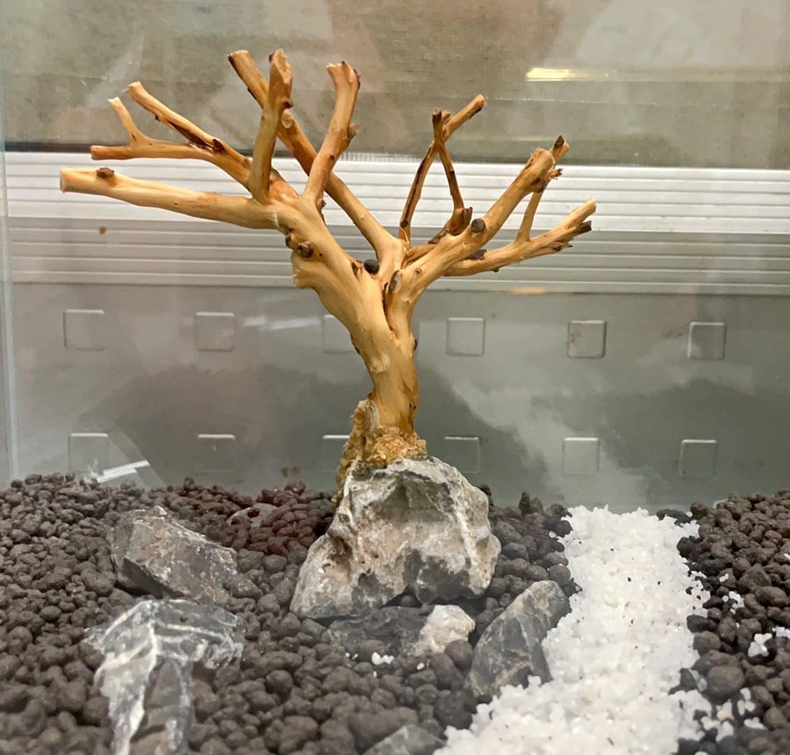 YZHZOM base en bois flotté et roches stabilise le décor.