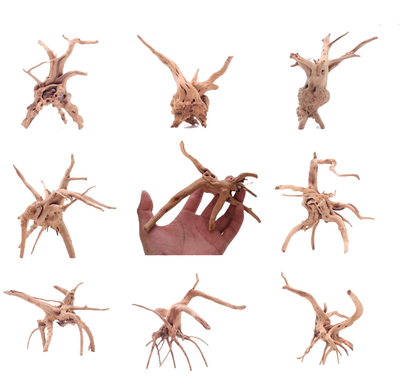 YZHZOM bois flotté araignée pour aquarium, décor naturel et apaisant.