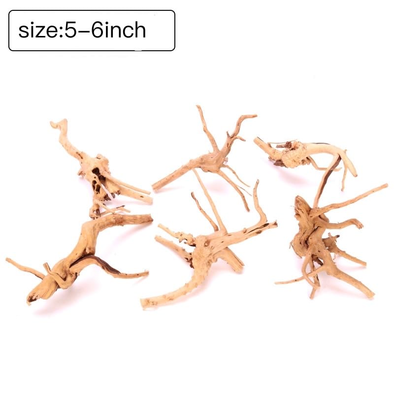 YZHZOM bois flotté araignée, détail fin pour un look réaliste.