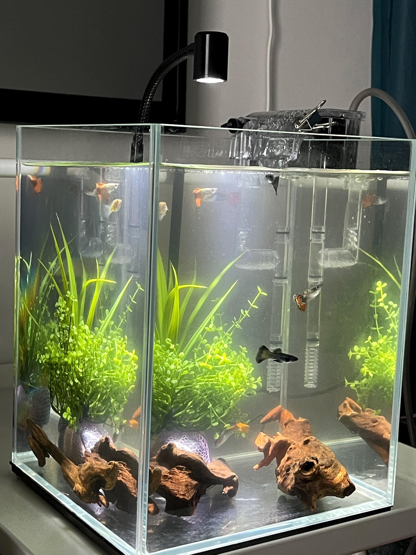 YZHZOM petits morceaux bois flotté, ensemble pratique pour petits aquariums