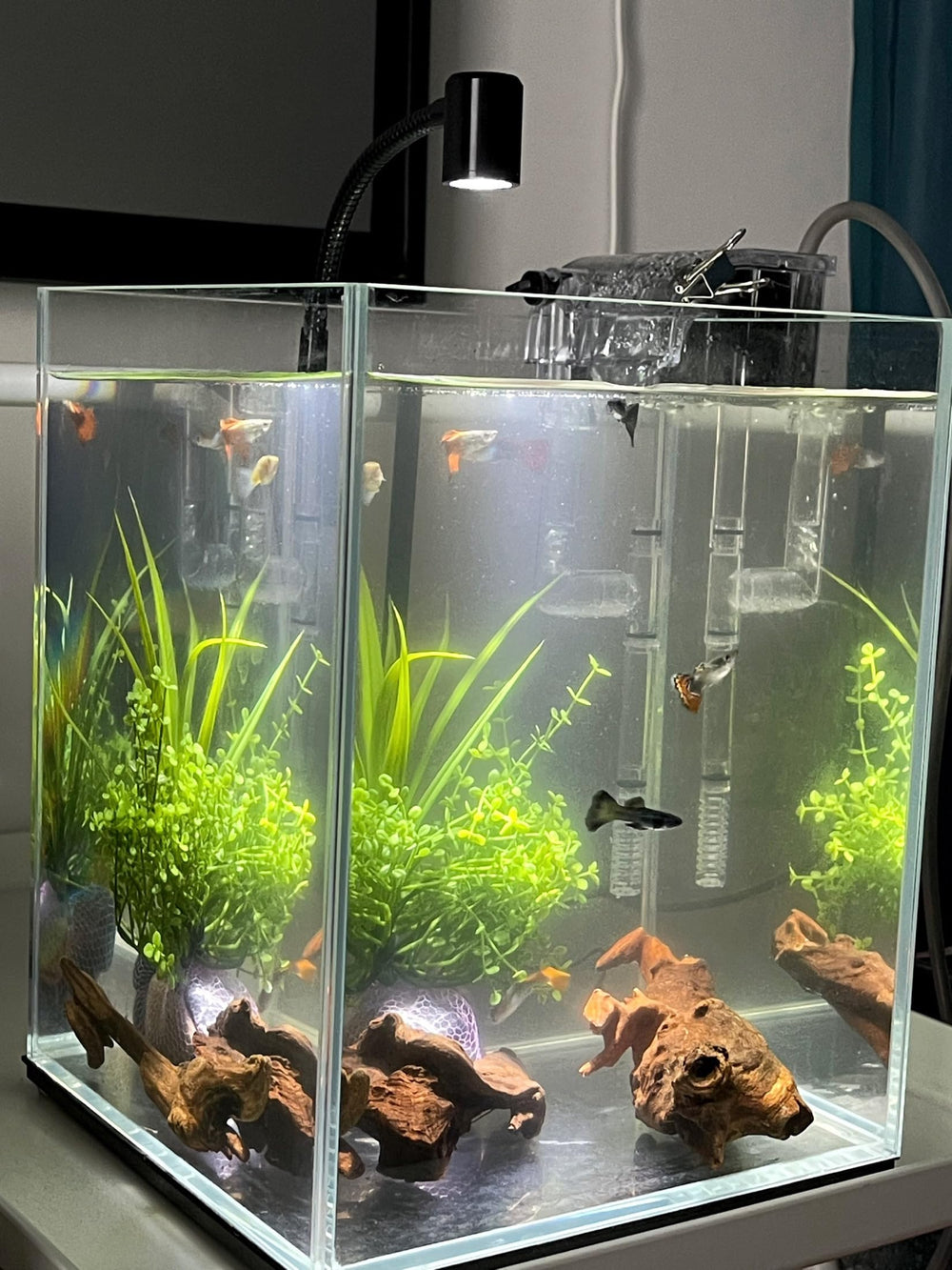 YZHZOM petits morceaux bois flotté, ensemble pratique pour petits aquariums