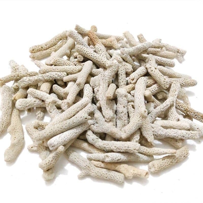 YZHZOM corail filtration durable pour aquarium et usage longue durée.