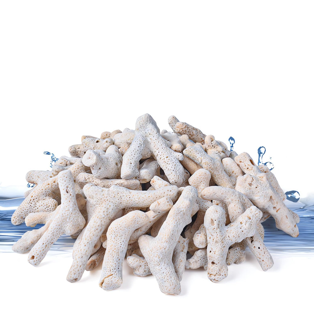 YZHZOM corail écrasé pour filtration d'aquarium eau douce et stabilité du pH.