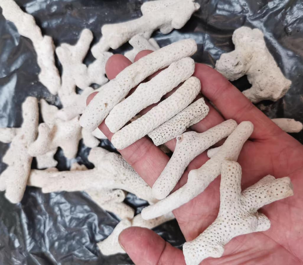 YZHZOM média filtrant naturel à base de corail pour eau limpide.