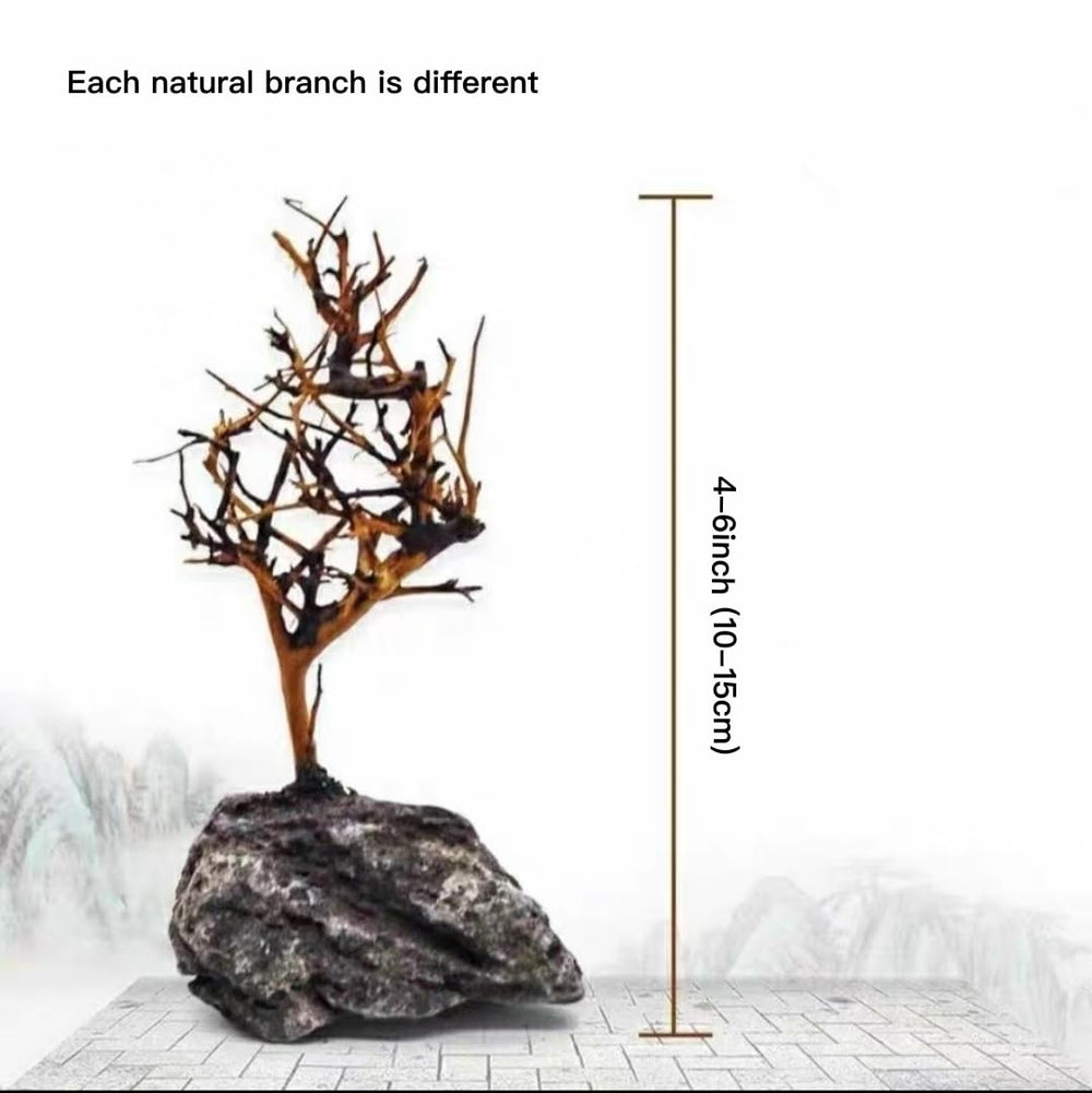 YZHZOM décor naturel prêt à intégrer un bac existant.
