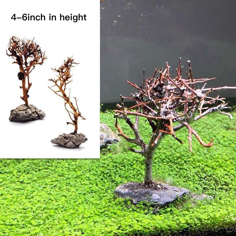 YZHZOM ensemble deux arbres-bonsai dans un support bois et roche.
