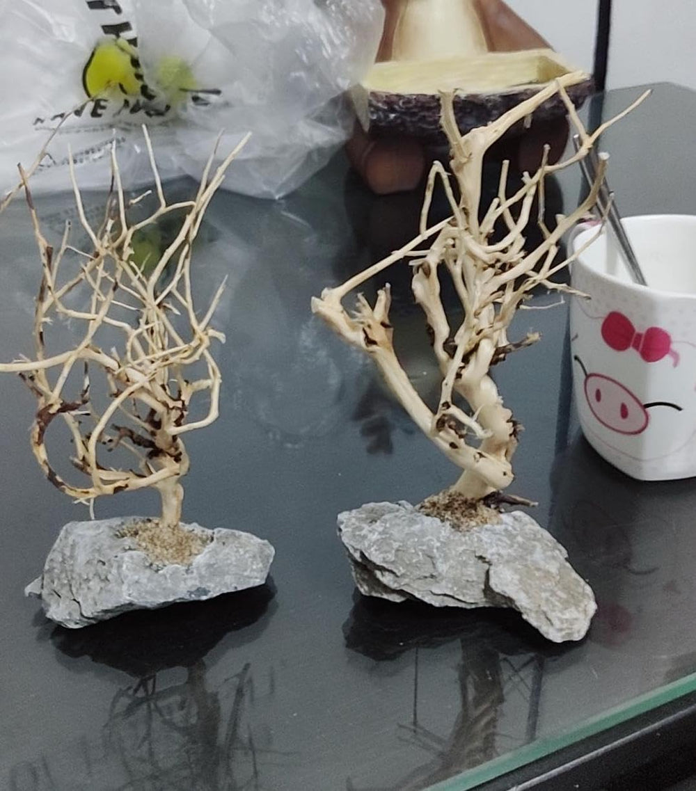 YZHZOM ensemble deux arbres pour un effet naturel en bac.