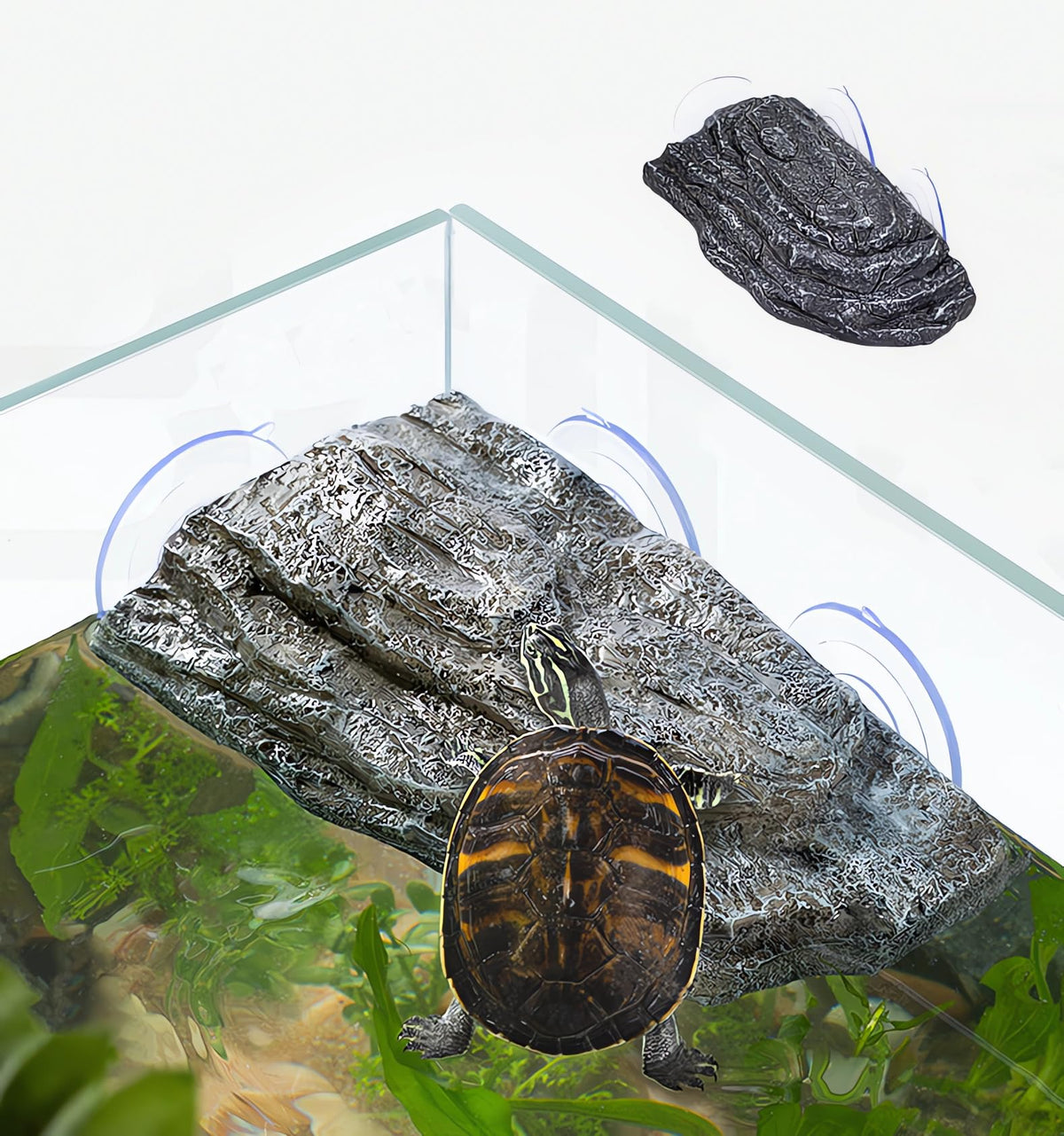 YZHZOM plateforme-repos-tortue avec ventouses, stabilité fiable pour repos aquatique.