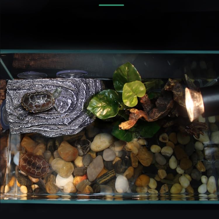 YZHZOM rocher-flottant tortue: aspect naturel favorisant l’ensoleillement et l’activité.