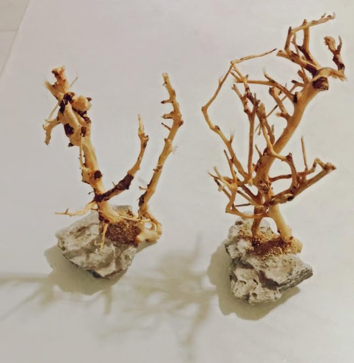 YZHZOM petit arbre décoratif offre une ambiance paisible.