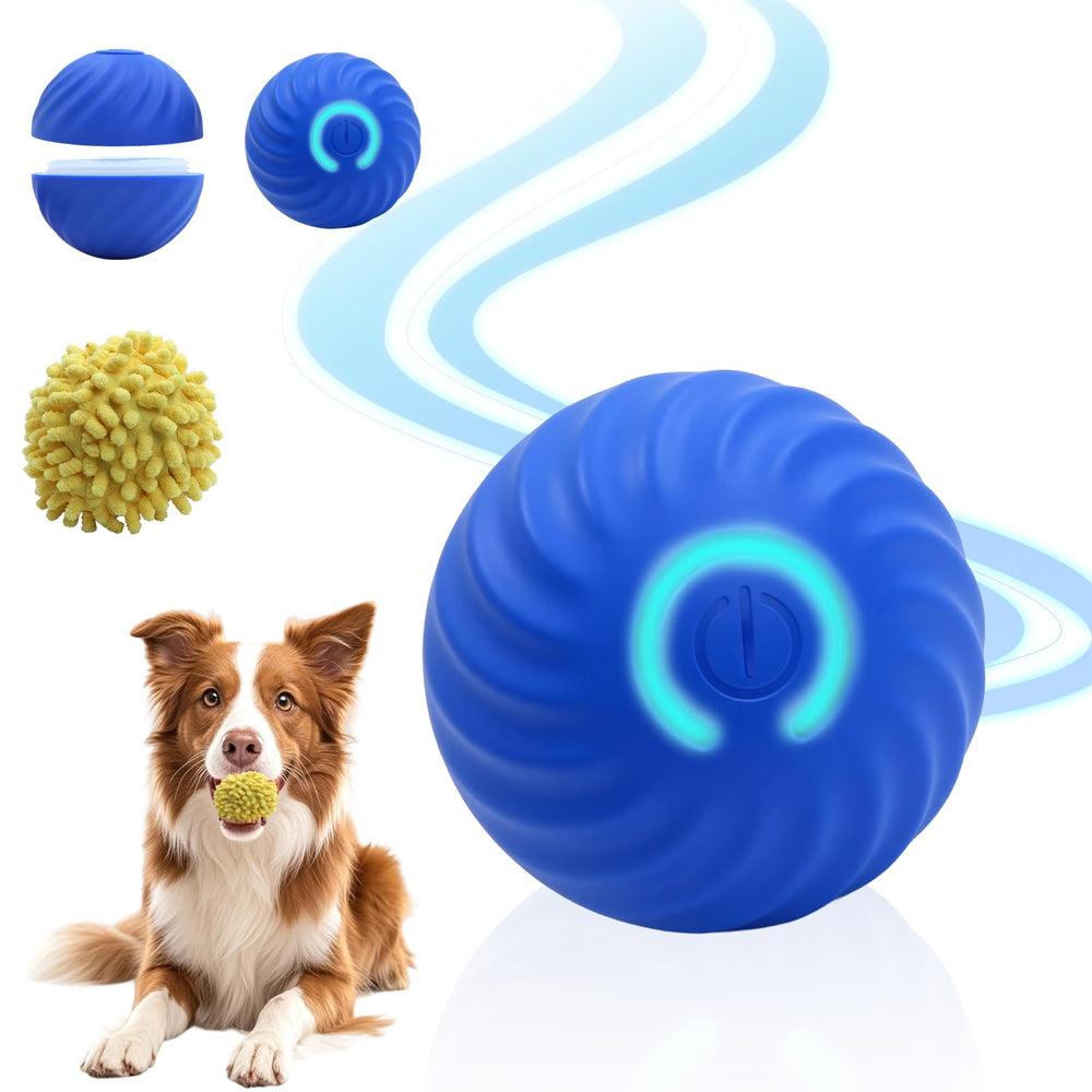 Balle interactive Zabare en mouvement, idéale pour stimuler l’instinct de poursuite chez votre chien.