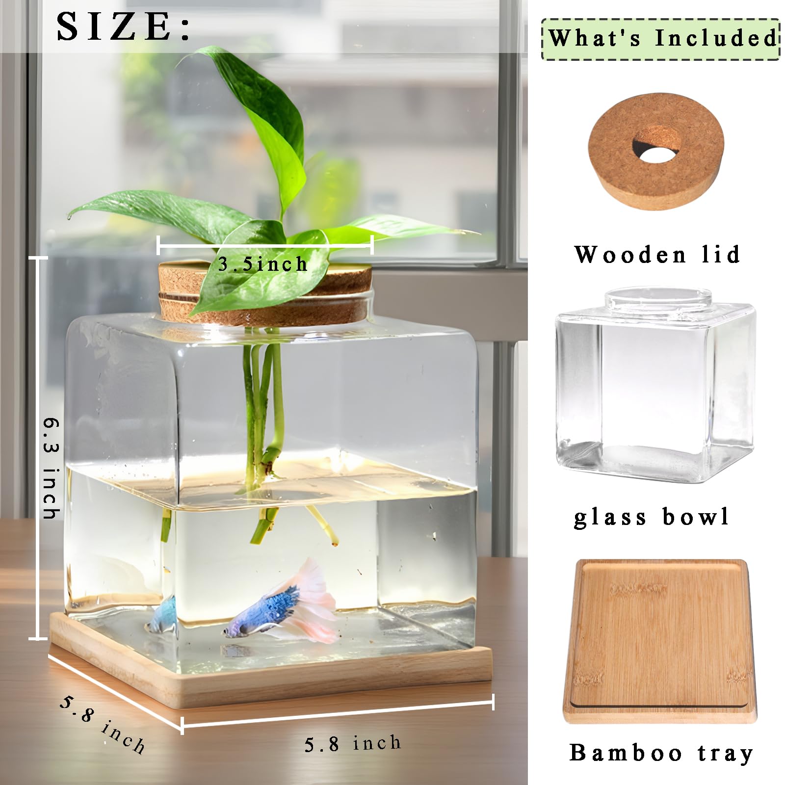 Zaborik Betta: verre transparent pour observer poissons et plantes