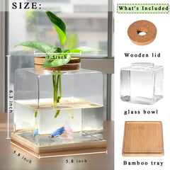 Zaborik Betta: verre transparent pour observer poissons et plantes