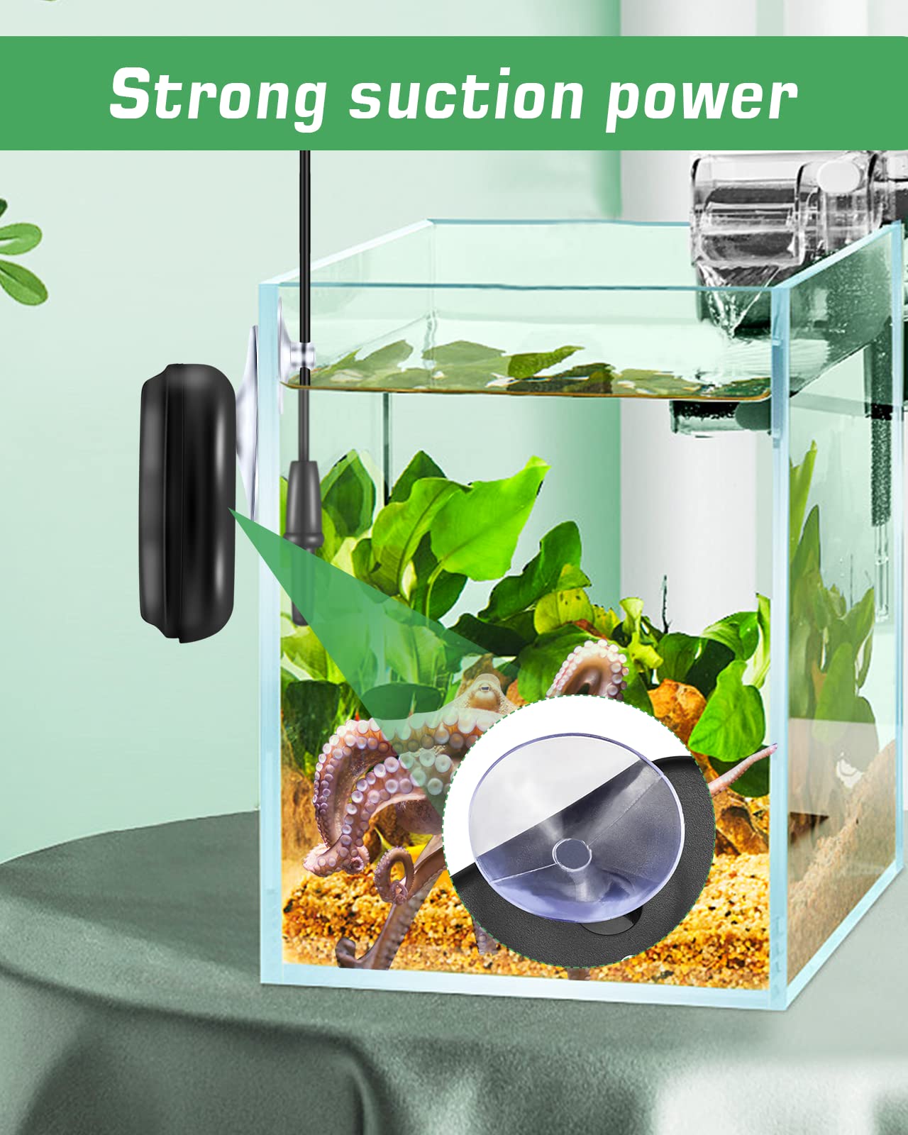 Zacro thermomètre aquatique avec plage maximale jusqu'à 70°C pour divers environnements.