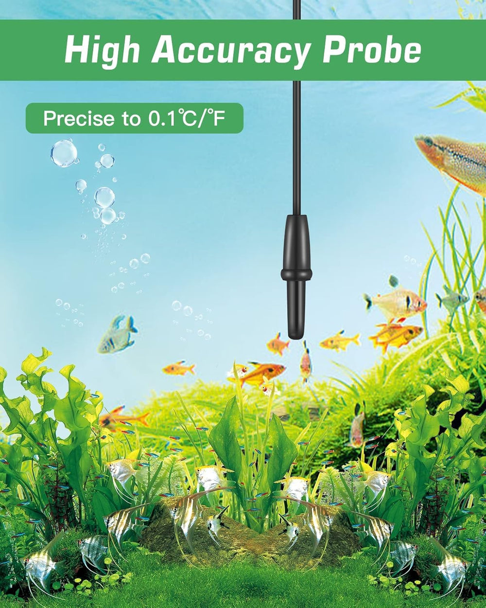Ventouse Zacro facilitant l’installation discrète du thermomètre dans l’aquarium