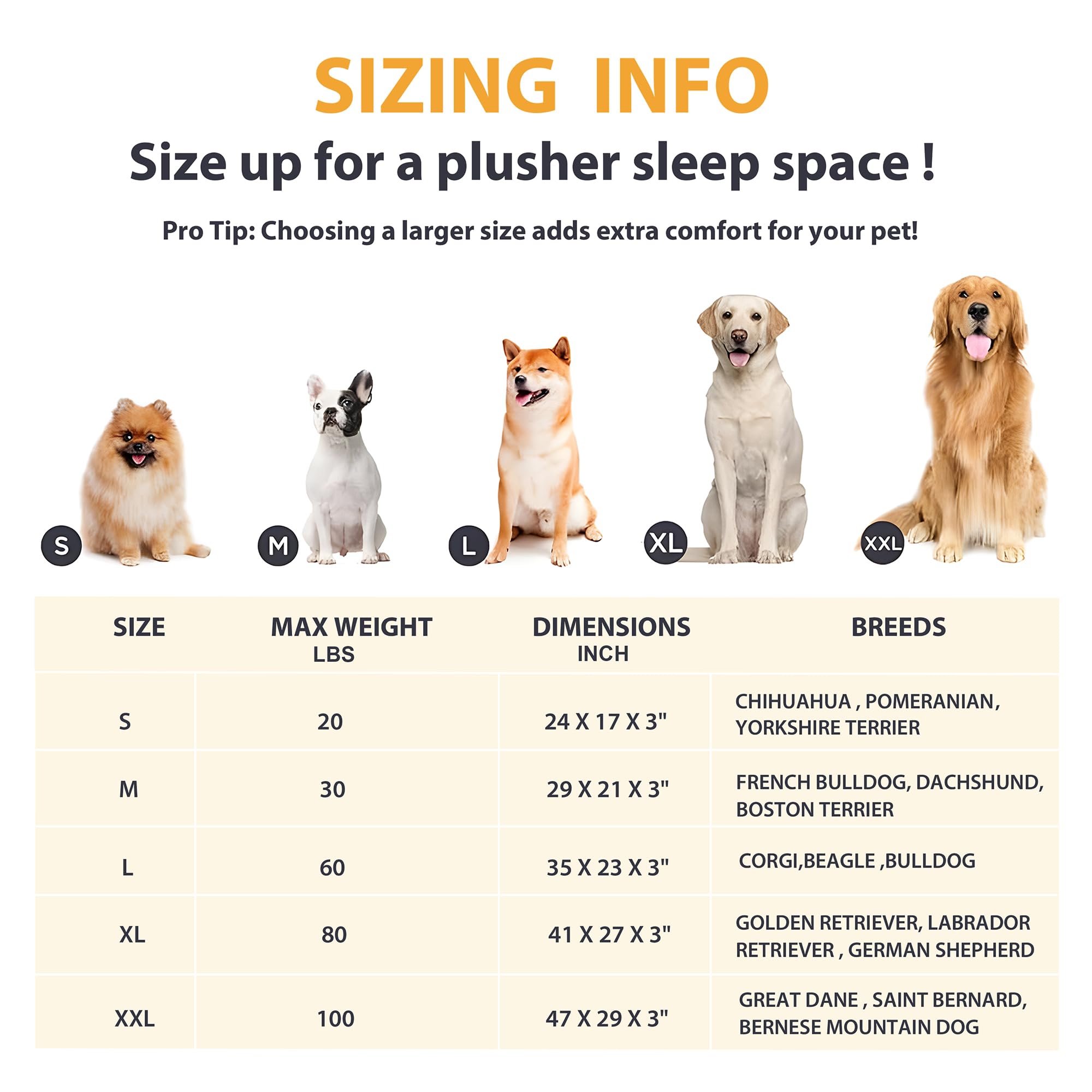 ZAKAPAWS lit pour chien idéal à domicile caisse ou voyage.