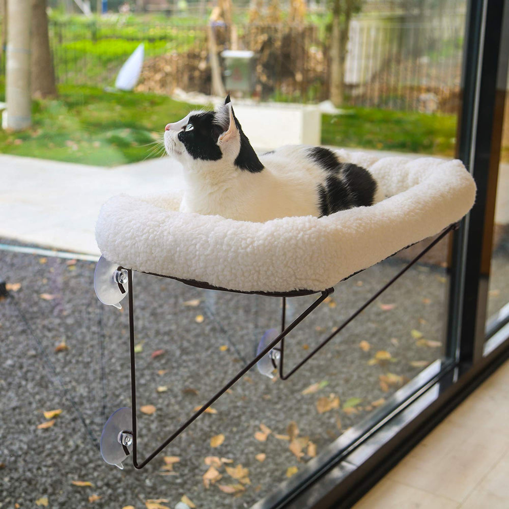 Zakkart perchoir fenêtre chat métal, stabilité fiable.