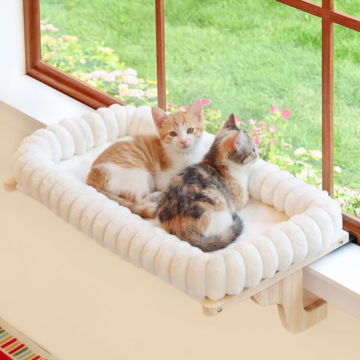 Zakkart SnugCloud perchoir chat fenêtre naturel, endroit sûr et ensoleillé.