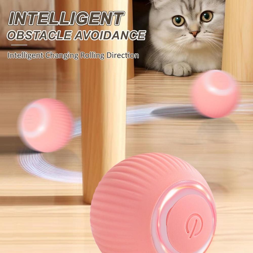 Balle chat en mouvement intelligent de ZALBYUY, attire rapidement l'attention.