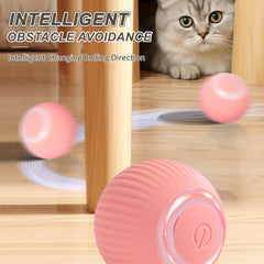 Balle chat en mouvement intelligent de ZALBYUY, attire rapidement l'attention.
