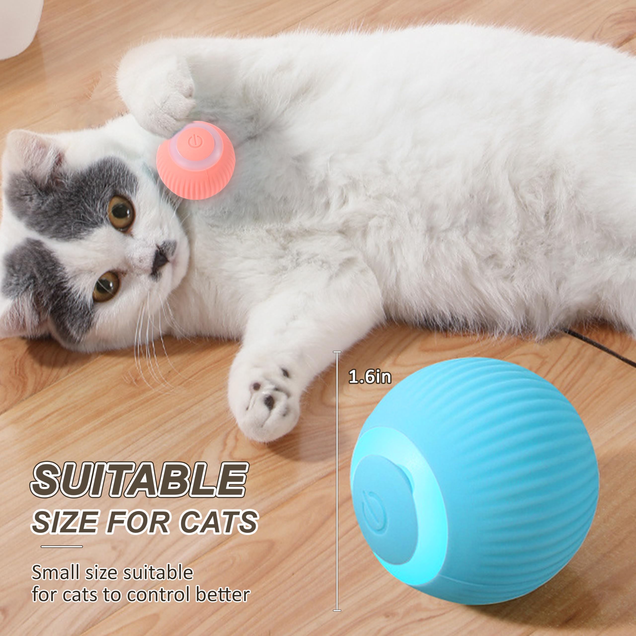 Balle chat utilisation sur plancher bois de ZALBYUY, jeu silencieux durable.