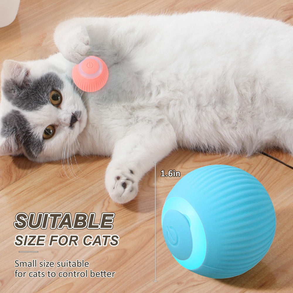 Balle chat utilisation sur plancher bois de ZALBYUY, jeu silencieux durable.