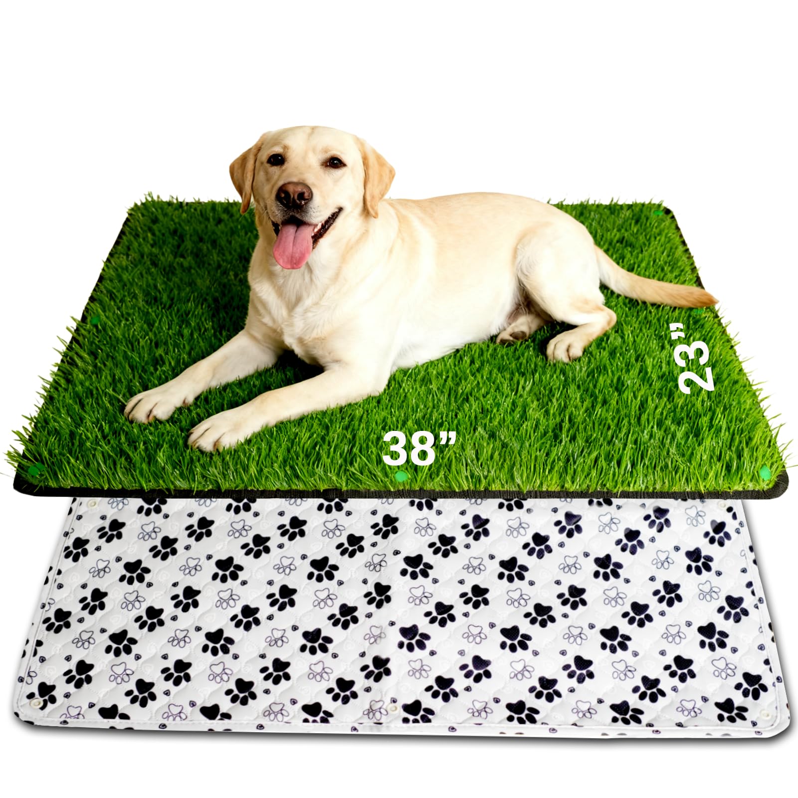 Zalhyrox tapis herbe chien 38x23, surface naturelle pour apprentissage