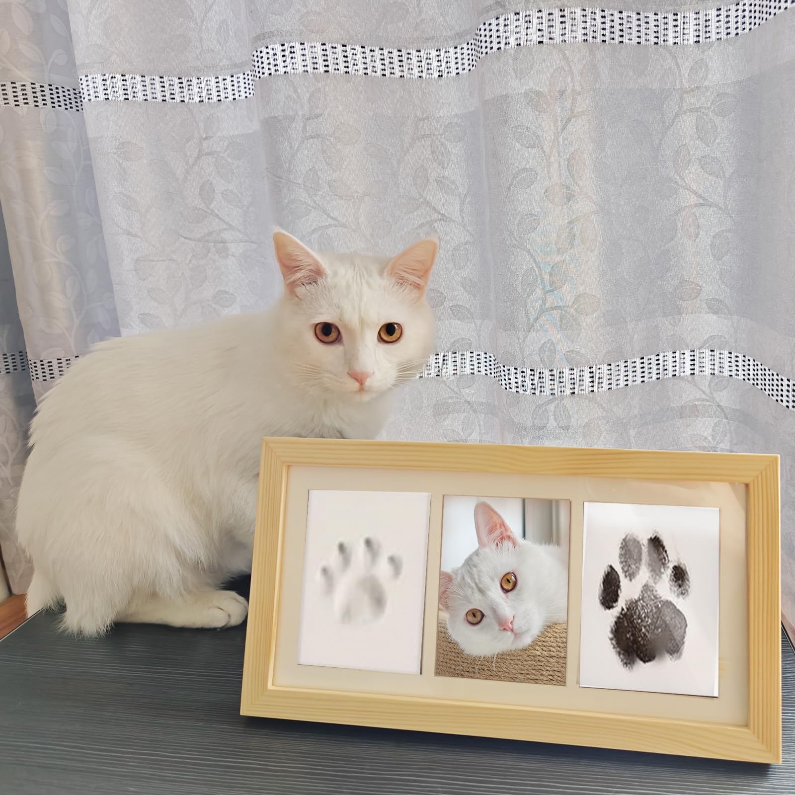 ZAPVLVT kit-souvenir-animaux : cadeau idéal pour les amoureux des animaux.