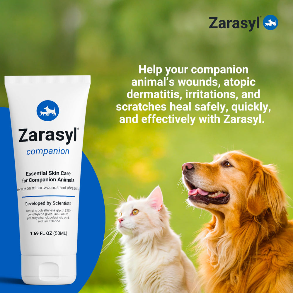 Zarasyl Companion: texture soyeuse prête à l’emploi pour le soin quotidien.