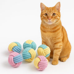 Zasle boules à mâcher pour chat – jeu intérieur stimulant et silencieux.