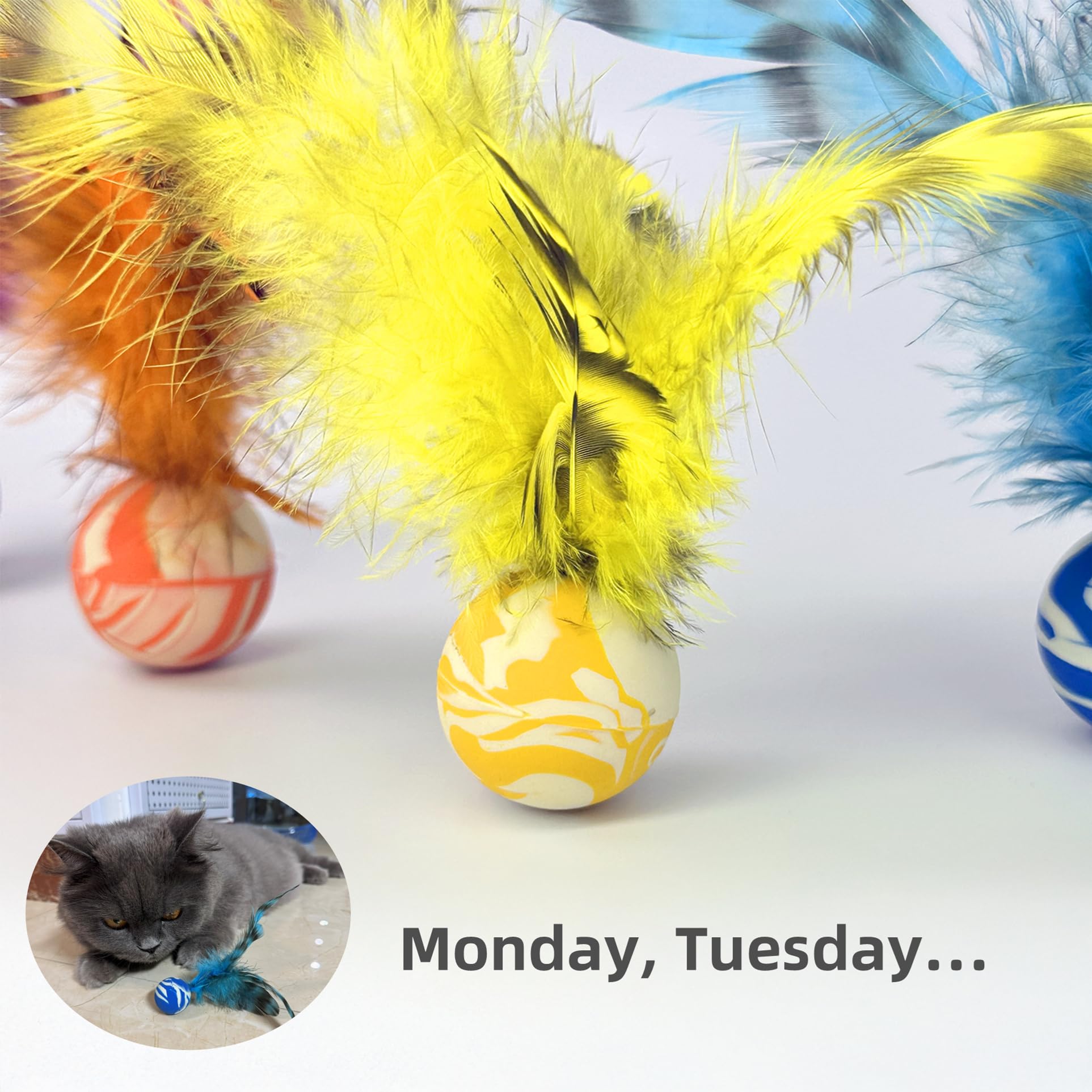 Balles plume verte ZAYLUMO, parfaites pour l'interaction humain-chat.