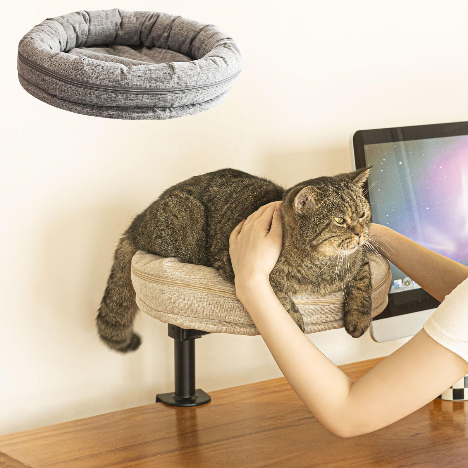 Lit-chat ZBUQ sur bureau avec rotation 360 pour vue panoramique.
