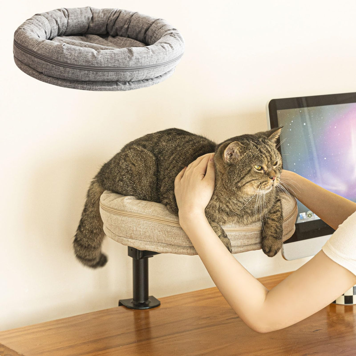 Lit-chat ZBUQ sur bureau avec rotation 360 pour vue panoramique.