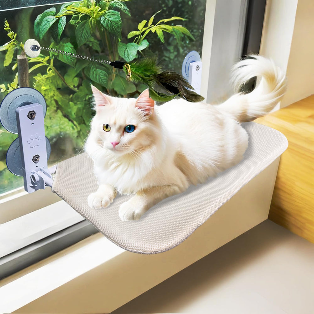 ZBUQ perchoir chat fenêtre: repos stable grâce aux ventouses.