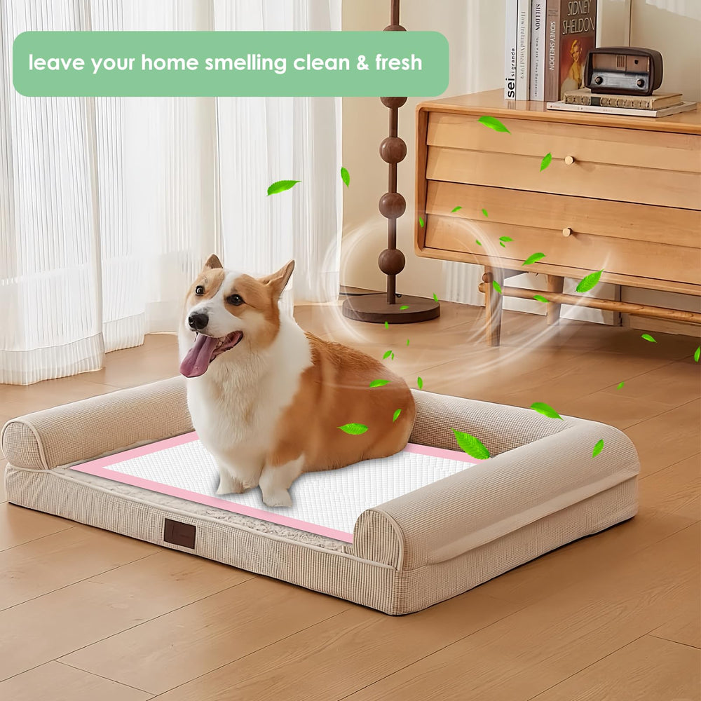 Tapis Zdolmy, couche supérieure anti-odeurs pour un intérieur plus frais.