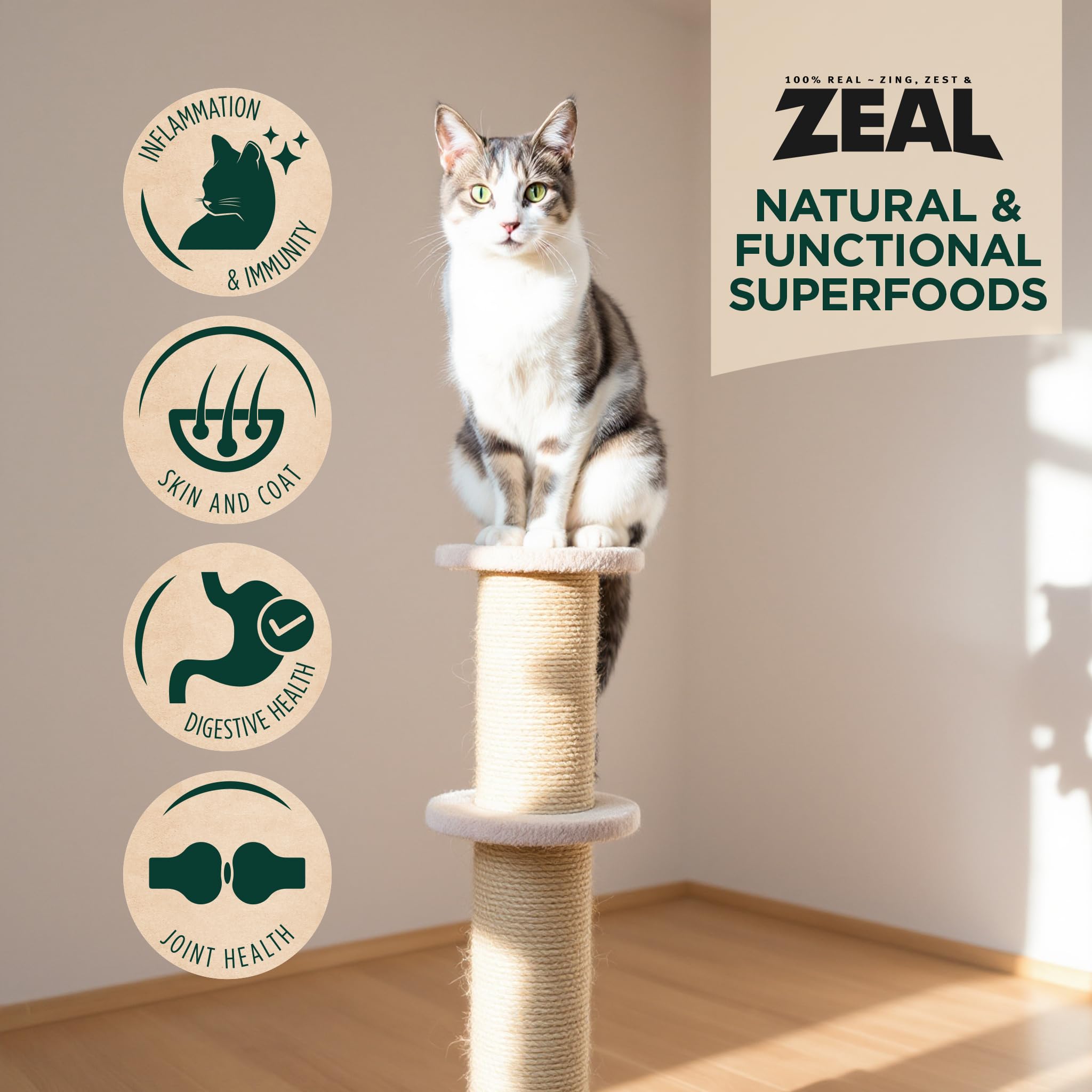 ZEAL Chat repas complet sans céréales, option saine et gourmande.
