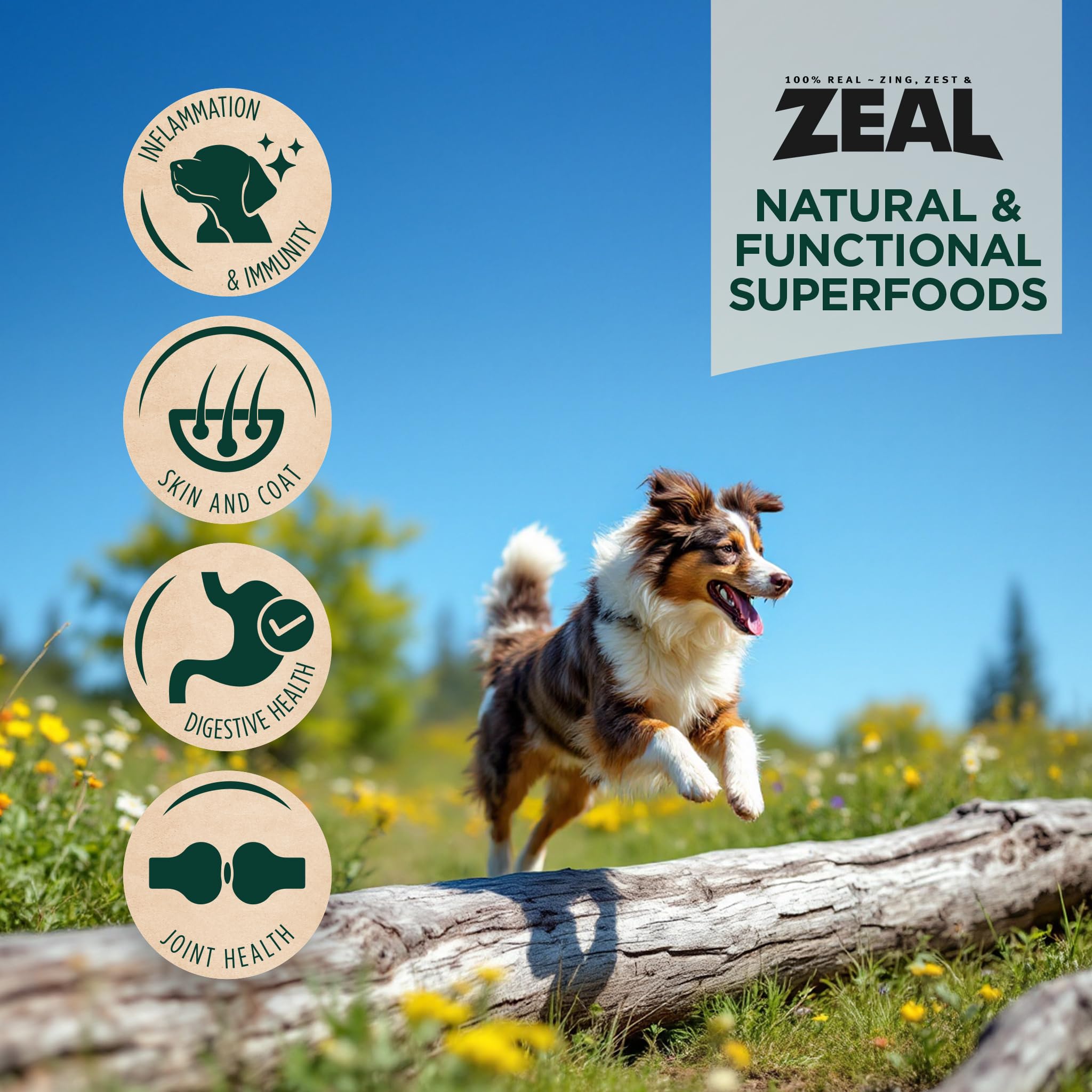 ZEAL saumon-canard chien omega-3 pour peau saine et pelage brillant.