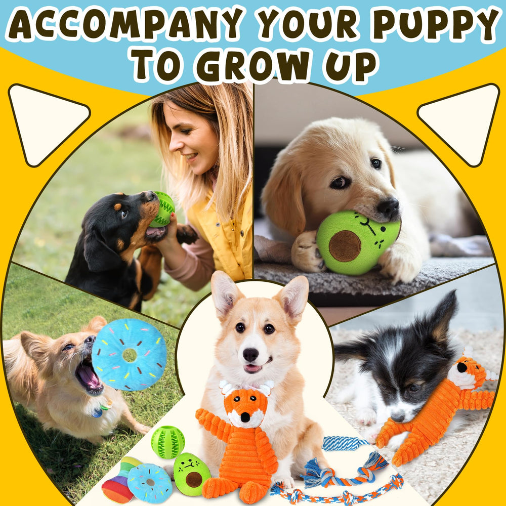 Ensemble de jouets Zeaxuie pour chiots, pack complet pour jeux quotidiens