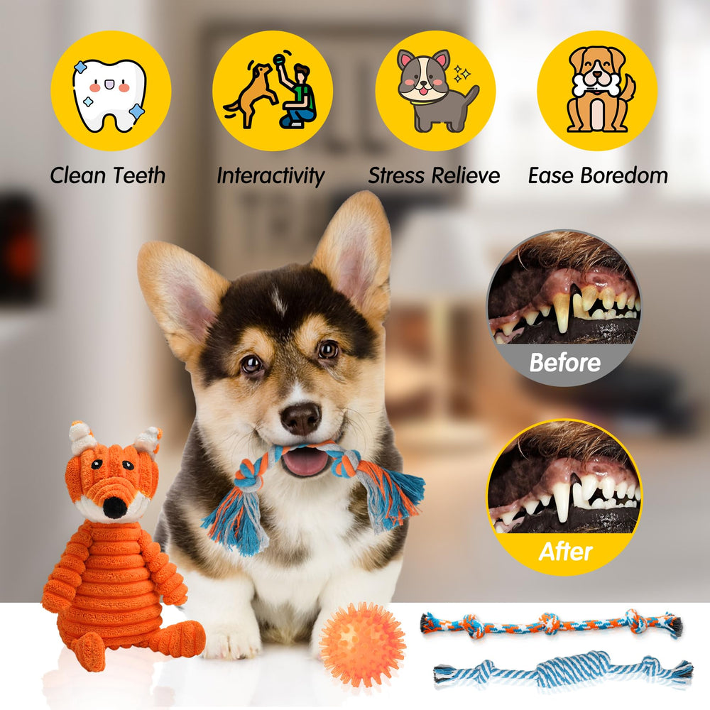 Porte-jouet Zeaxuie, rangement facile des jouets de chiot