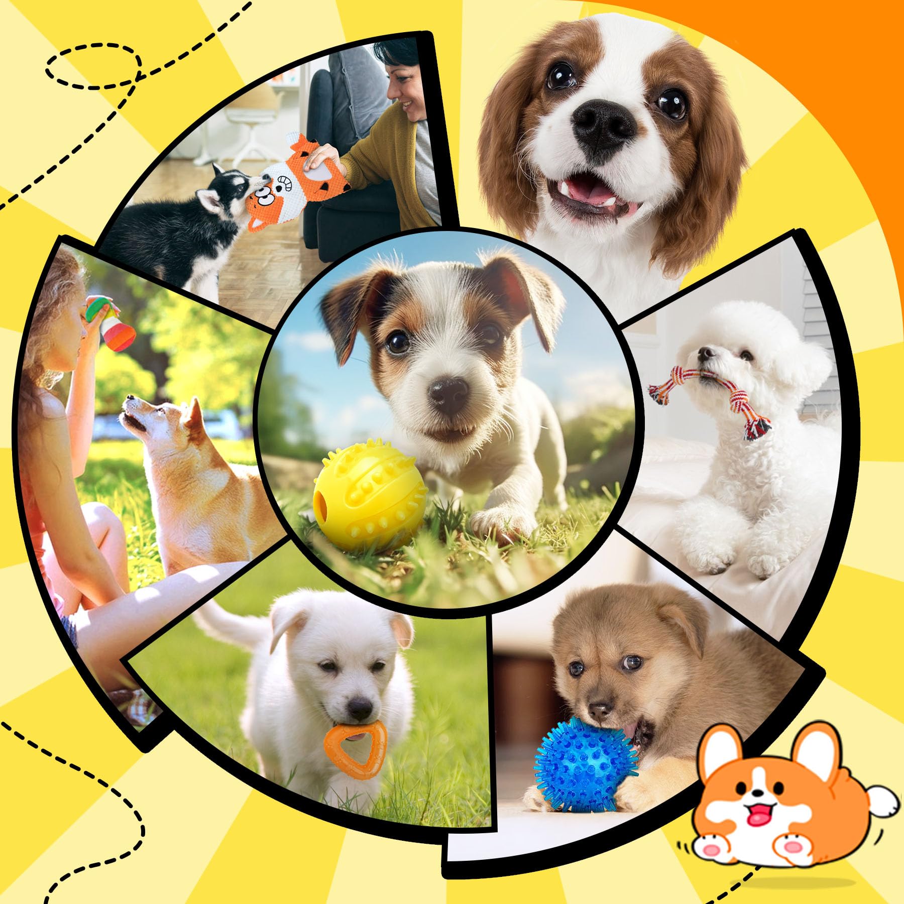 Zeaxuie-roll-sac-chien : rouleau de sacs pratiques pour sorties propres.