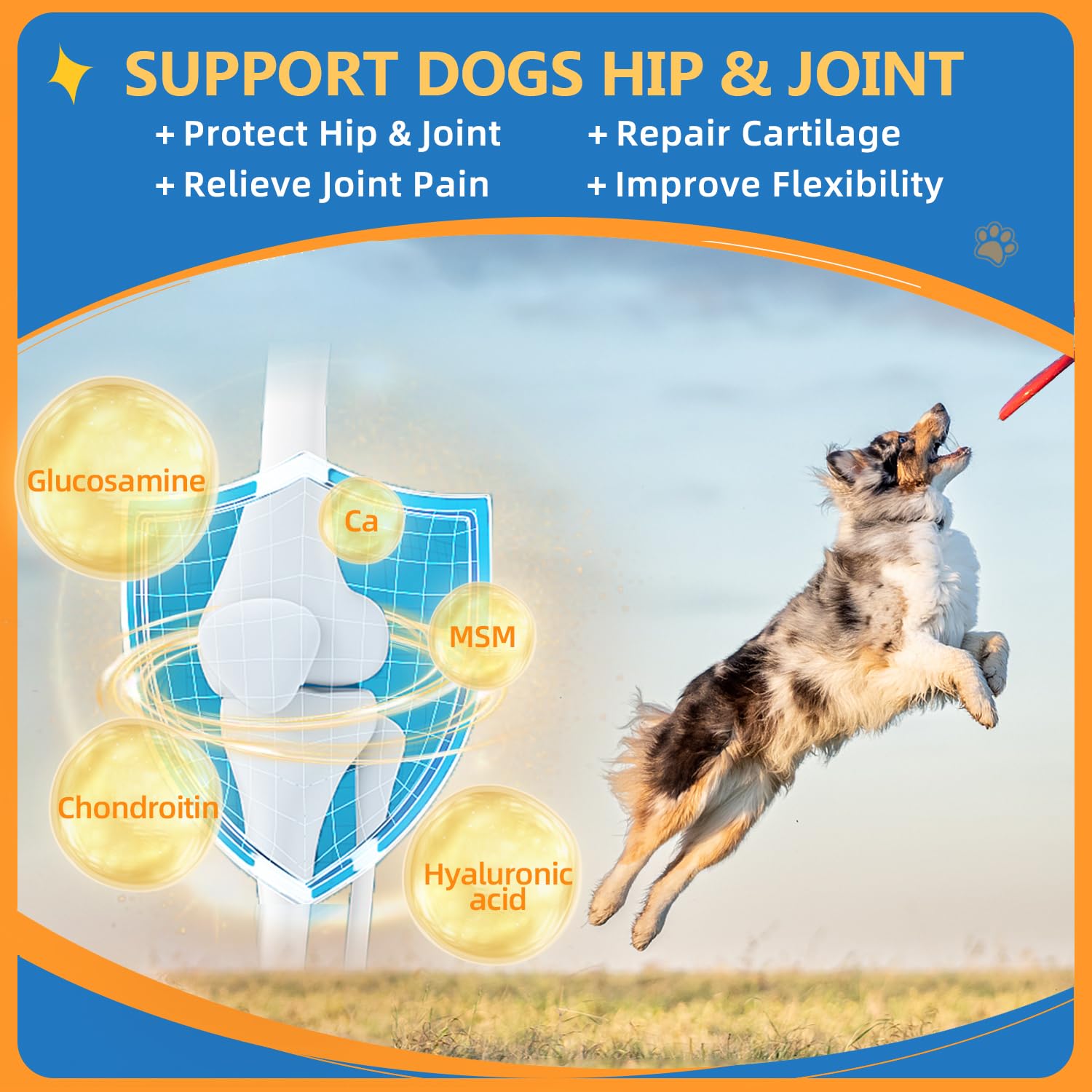 ZEBORA Chien Omega3 Poil Peau, pelage plus brillant et peau saine.