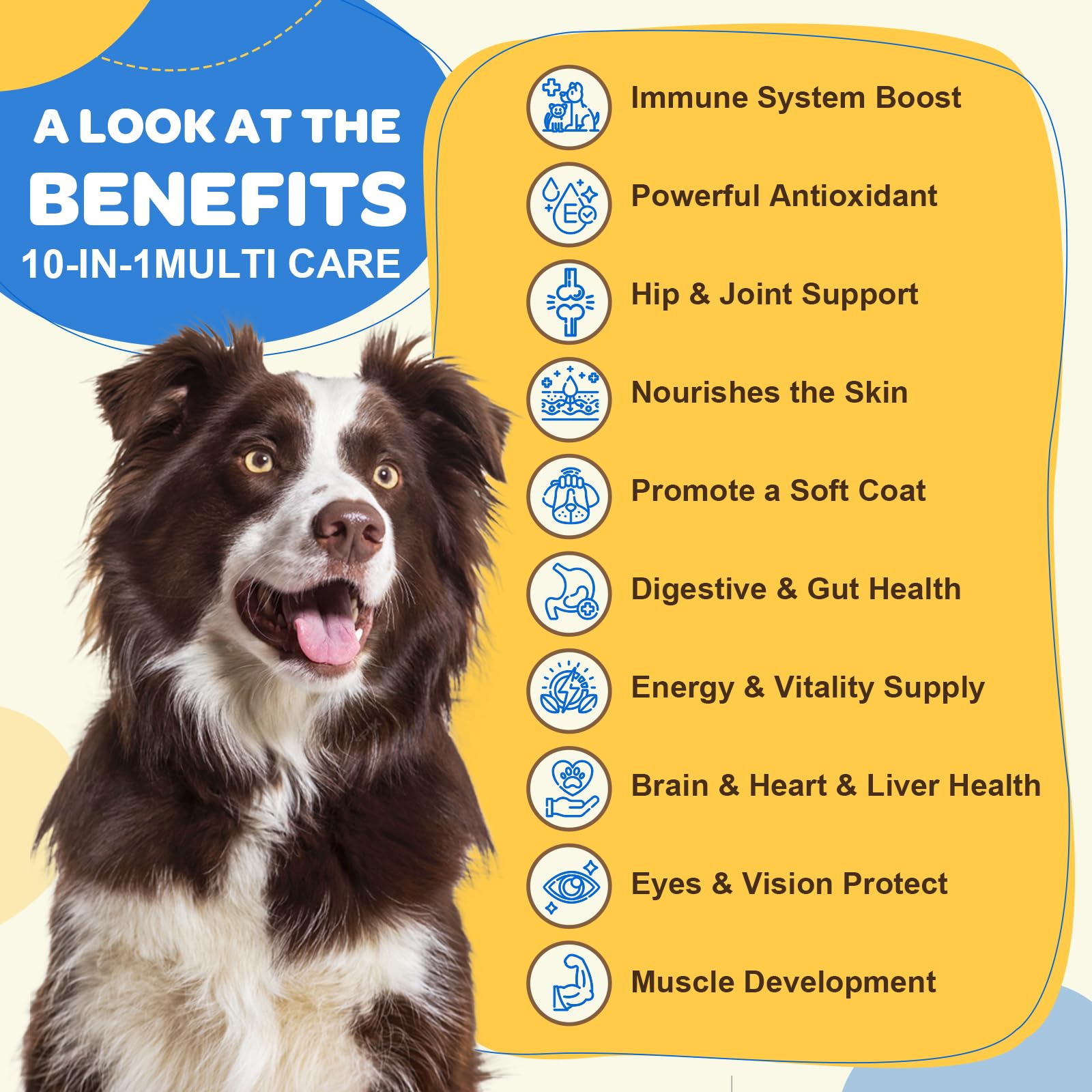 ZEBORA: bouchées soutien immunitaire et digestion pour chien et pelage en pleine forme.