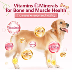 Curcuma Zebora anti-inflammation naturel pour chien actif.