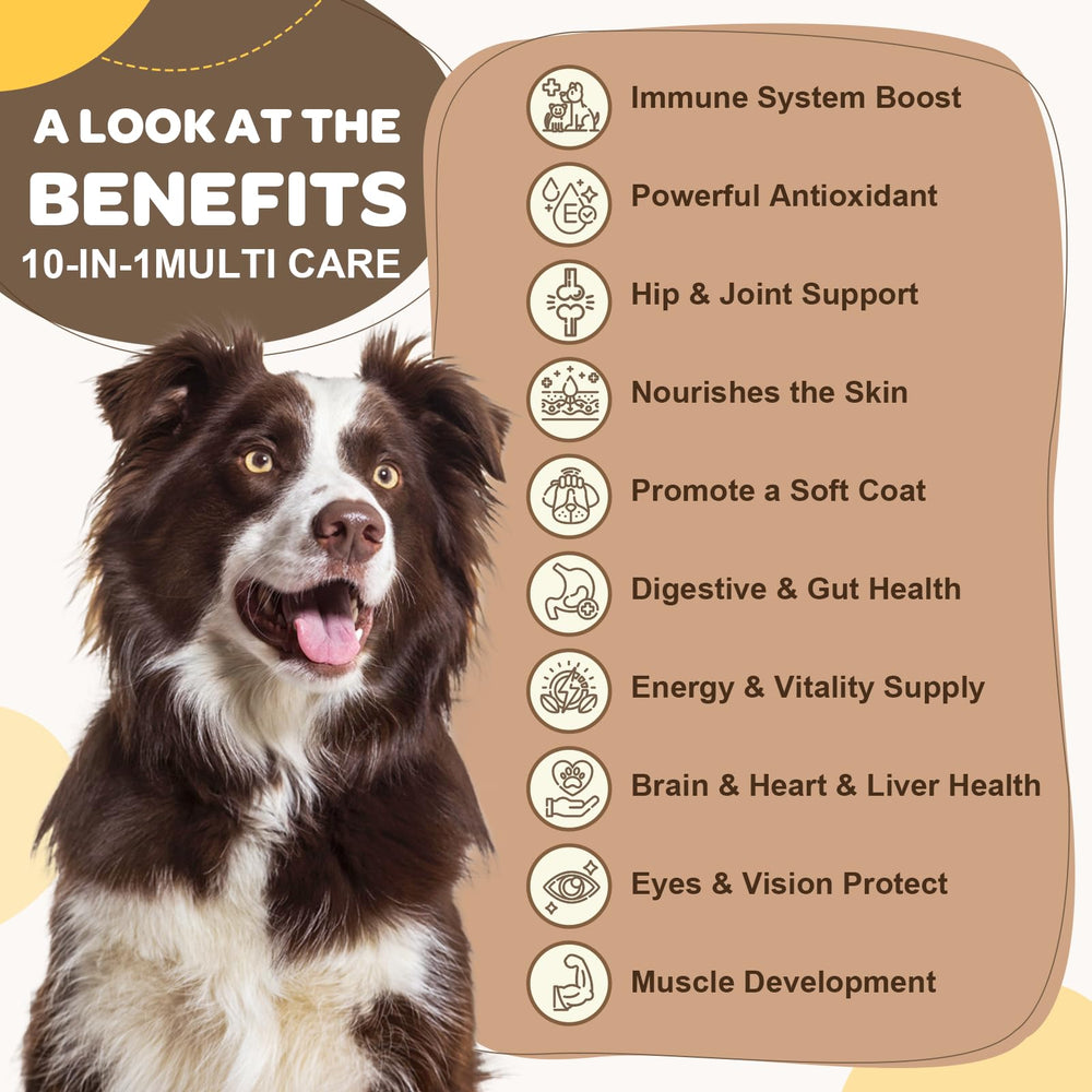 ZEBORA Dog Multivitamin bouchées à croquer, goût agréable et administration facile.