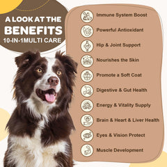 ZEBORA Dog Multivitamin bouchées à croquer, goût agréable et administration facile.