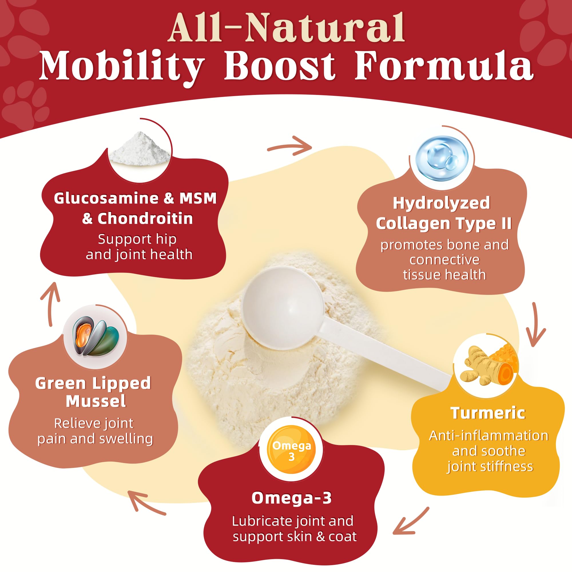 ZEBORA glucosamine pour chien – ajout alimentaire facile pour favoriser la flexibilité.