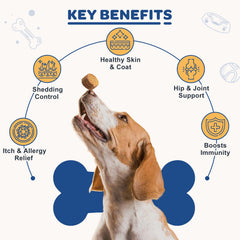 ZEBORA huile saumon chien - emballage 120ct: approvisionnement durable pour plusieurs mois.