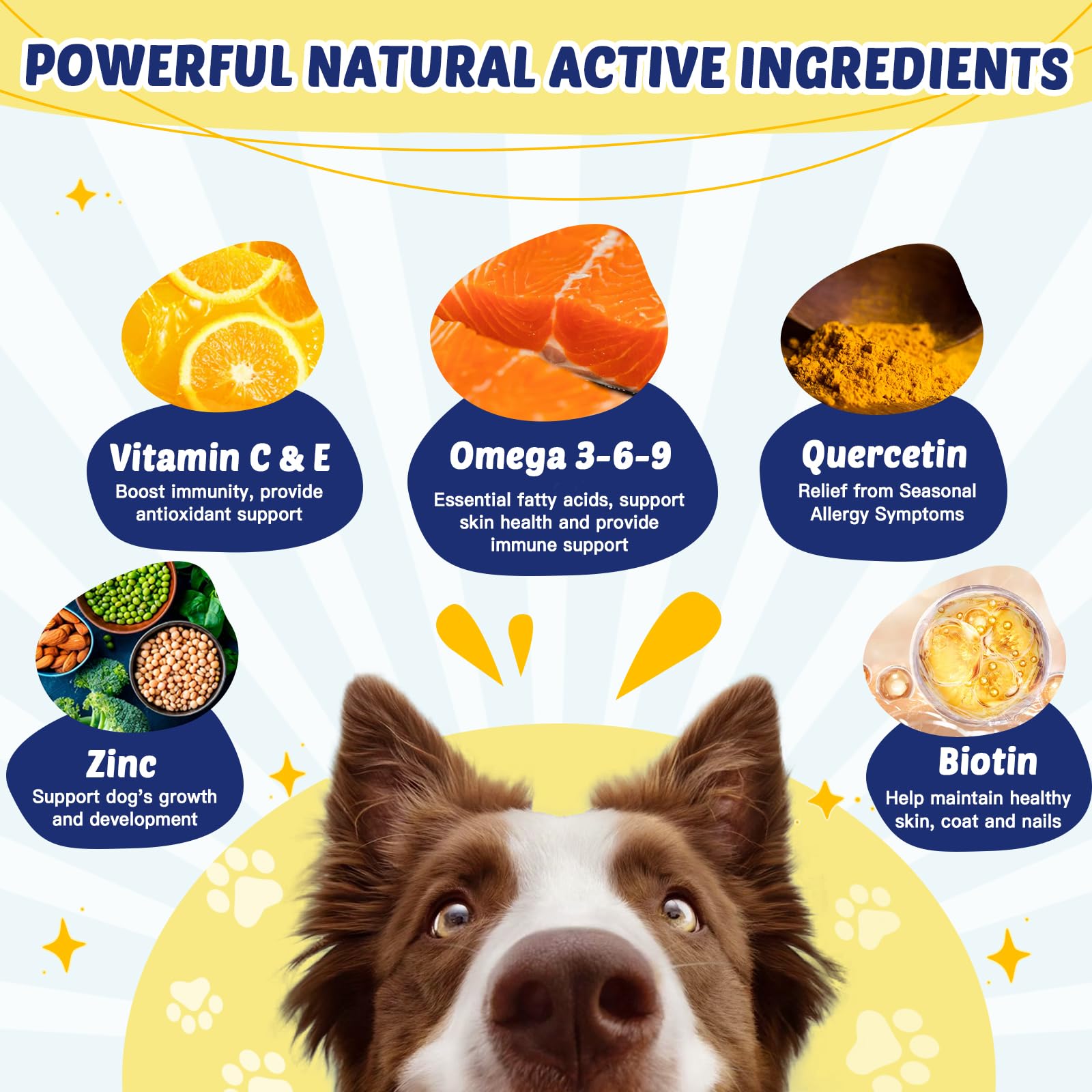 ZEBORA Omega3 bouchées poulet pour chien, alimentation pratique.