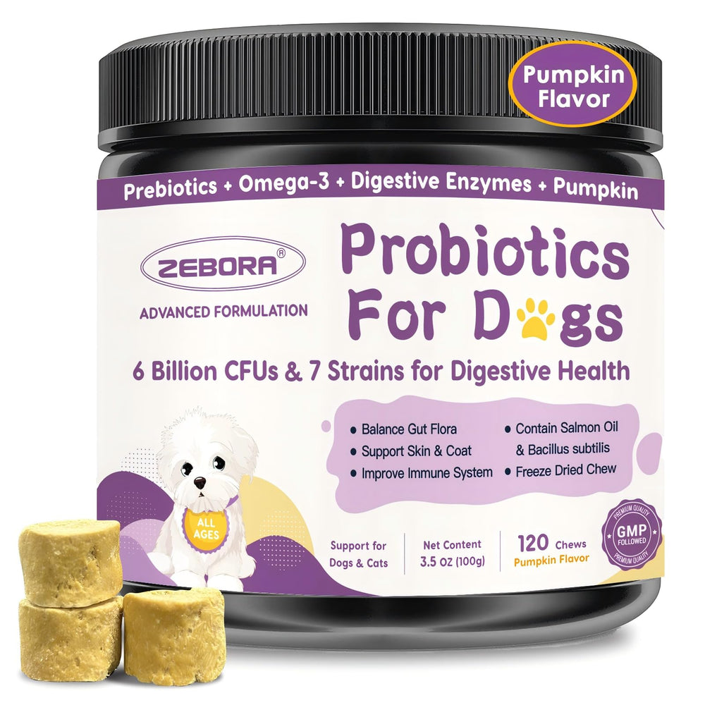 Bouteille ZEBORA probiotiques pour chien sur étagère, soutien digestif potentiel.