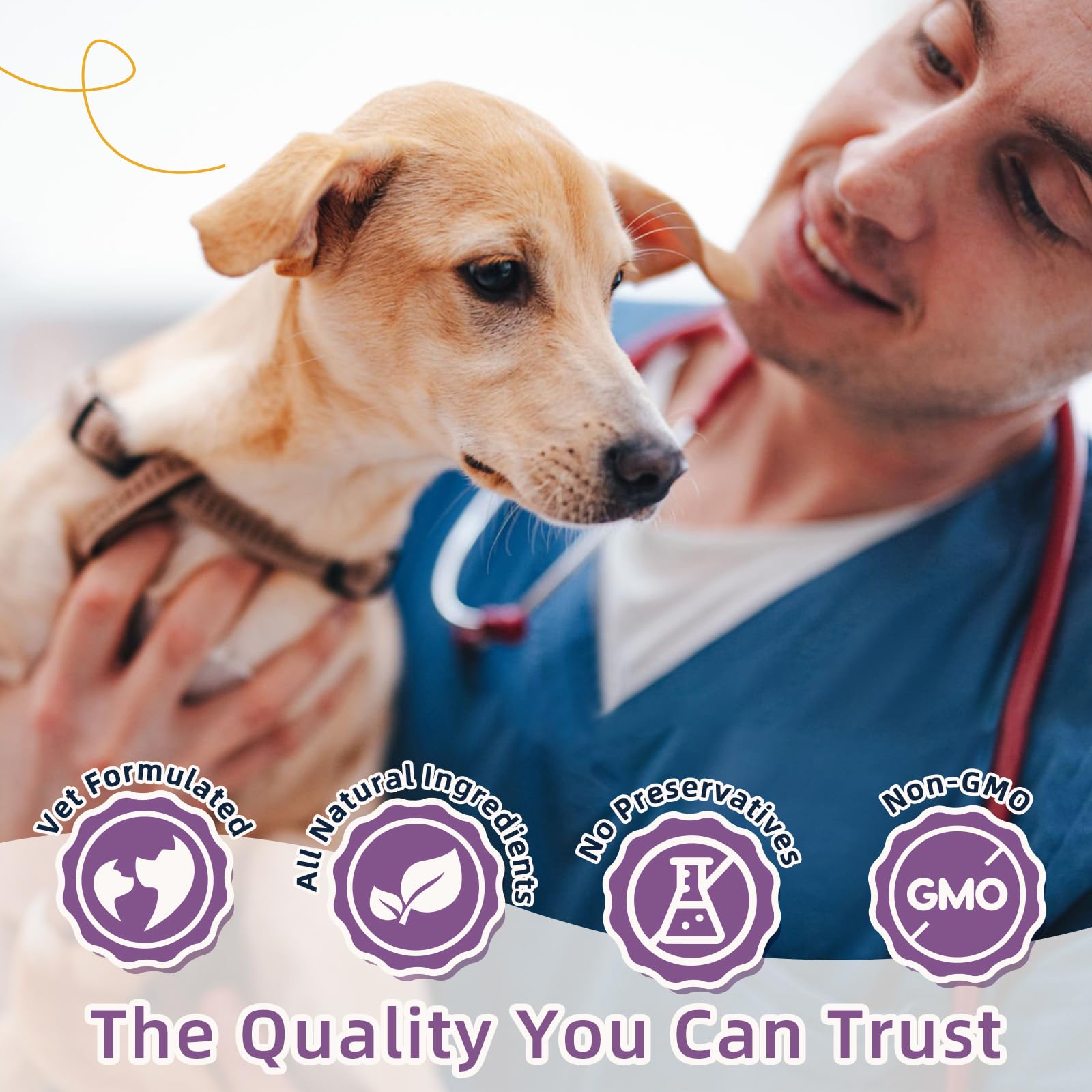 Confort digestif avec ZEBORA probiotiques pour chien, idéal pour routine quotidienne.